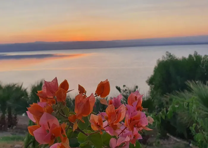 Comfy Stays Sea View Apartments At Deadsea Samarah Resort