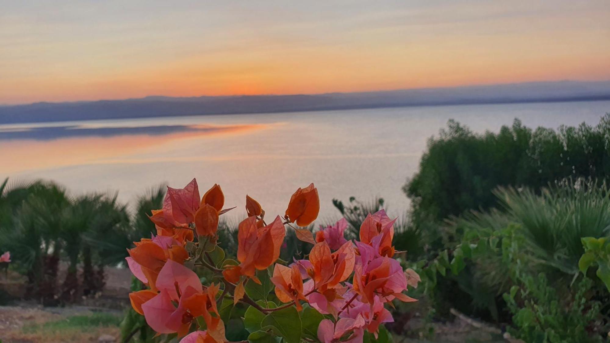 Apartment Comfy Sea View At Deadsea Samarah