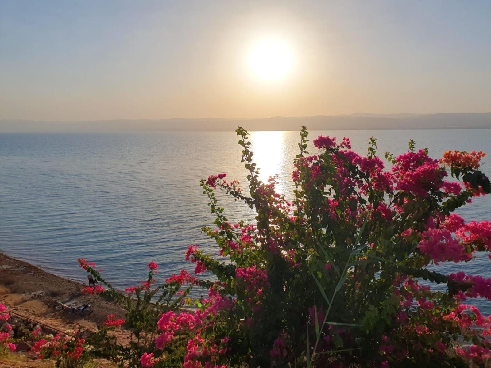 Apartment Comfy Sea View At Deadsea Samarah